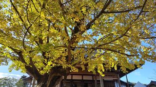 ぎんなんパーク一がメイン会場