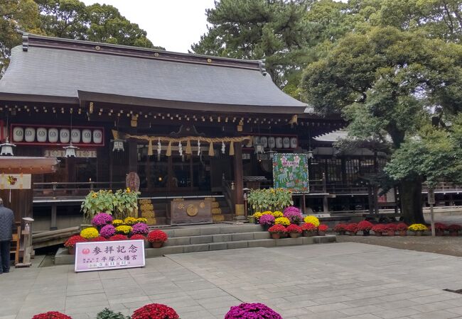 平塚七福神めぐり（弁財天）