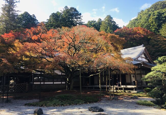 雷山千如寺大悲王院庭園