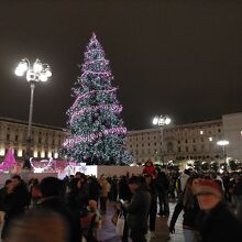 大聖堂広場も人でいっぱい。大きなクリスマスツリーがある。
