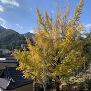 紅葉のシーズンは大混雑