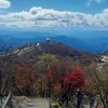 素晴らしい景観です