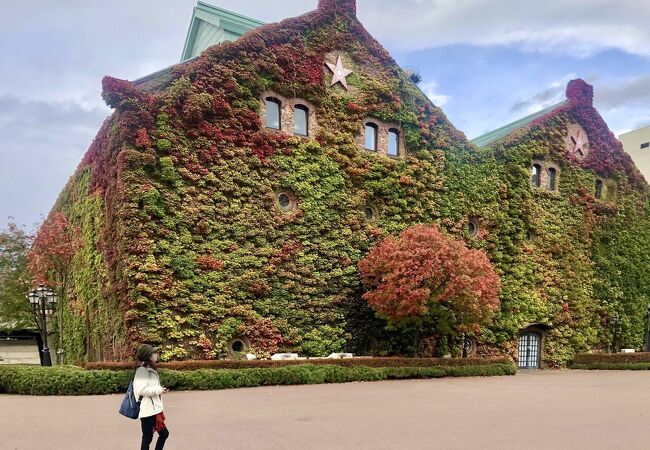 蔦のからまる赤れんがの風景