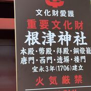 銀杏が社とマッチして美しい根津神社