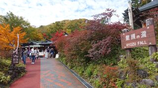 竜頭の滝の観瀑台