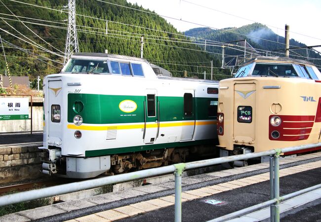 吉備の国倉敷駅と伯耆の国伯耆大山駅を結ぶ伯備線の日野町にある駅です。特急やくもが停車します。