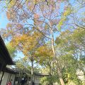 蘇州最古の庭園「滄浪亭」 　紅葉情報