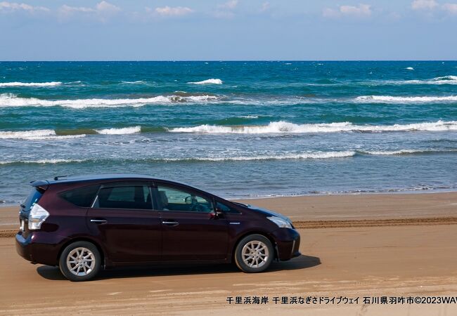 自動車で走ることの出来る海岸