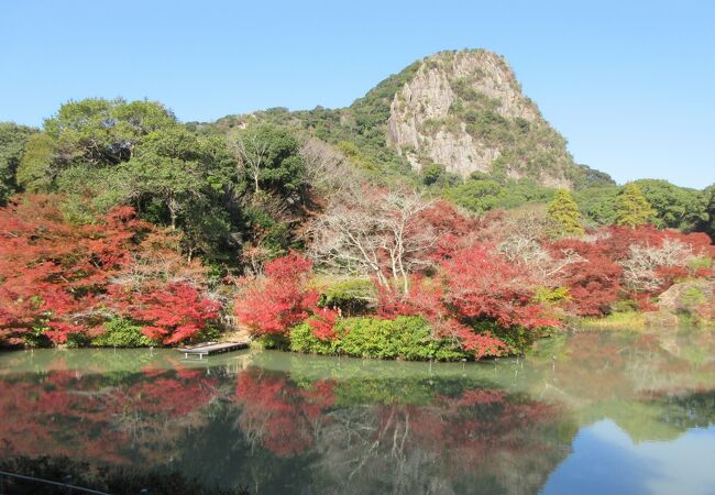 池の周りの紅葉がきれいで映っていました。１２月３日まではライトアップもあります。