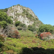 岩山の下はつつじ谷です。