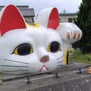 とこなめ見守り猫 とこにゃん (招き猫通り) クチコミ・アクセス