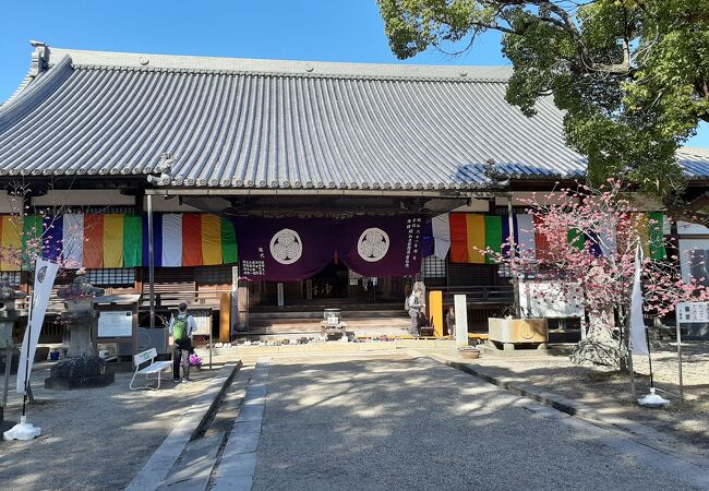 徳川将軍家の位牌も安置される、家康に縁の深いお寺