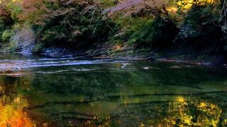 紅葉の水鏡が美しい