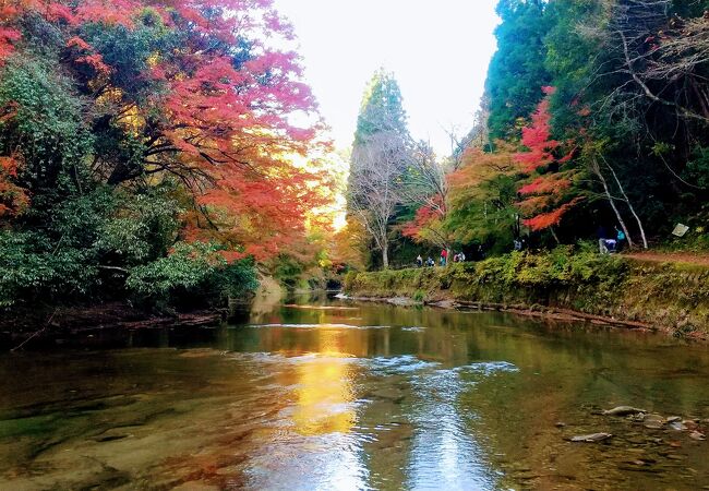 素晴らしい紅葉スポット