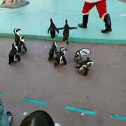 体験型の水族館