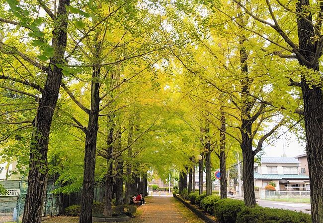 宇都宮駅東口公園