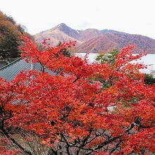 五大堂からの紅葉に中禅寺湖