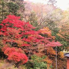 観音堂から五大堂へ行く途中の紅葉