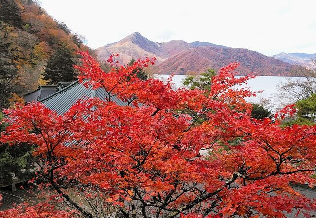 日光山中禅寺立木観音