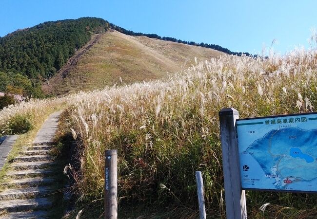 ススキがみごたえある広大な高原