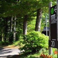 バス停降りての道