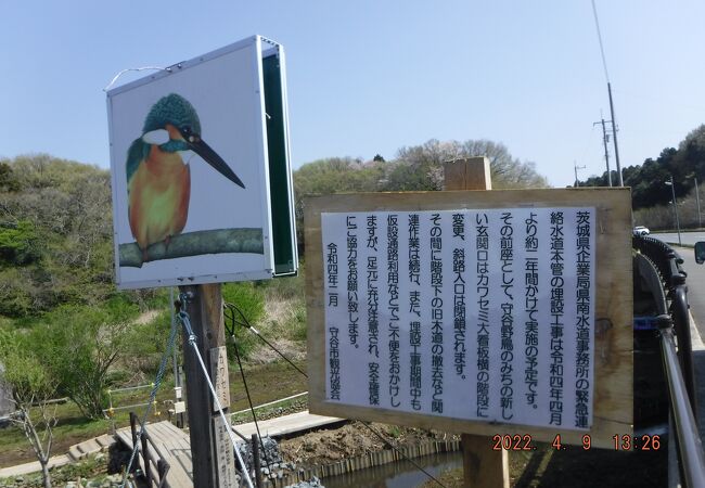 守谷野鳥のみち自然園