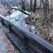 「清水橋」と「清水川」