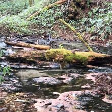 「清水川」の源流