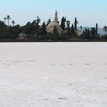 ハラ・スルタン寺院は、ソルト湖南端近くのほとりにあります