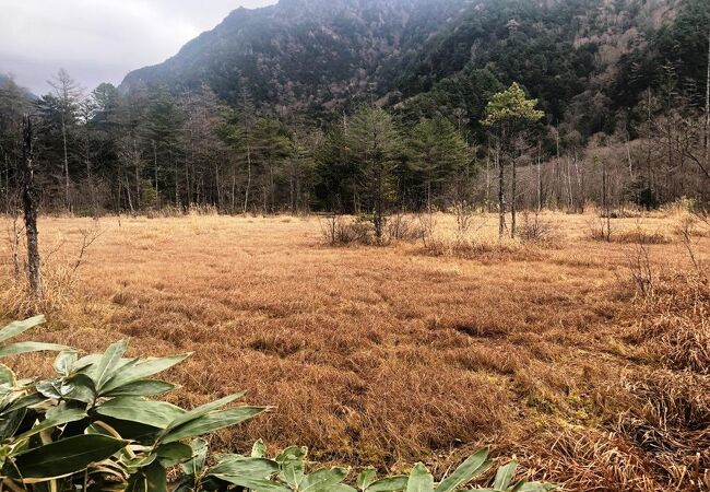 田代湿原