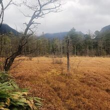 田代湿原