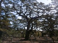 津田の松原 琴林公園