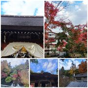 紅葉の深大寺