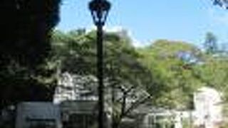 昆虫に関する博物館