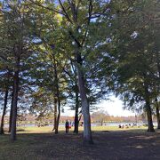 都立水元公園 クチコミ・アクセス・営業時間|亀有・柴又 都立水元公園 クチコミ・アクセス・営業時間|亀有・柴又