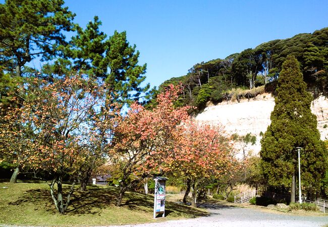 本牧市民公園