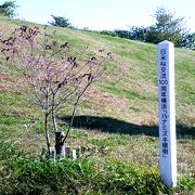 本牧山頂公園;日米桜交流100周年横浜-ハナミズキ植樹