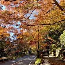 裏参道の入口