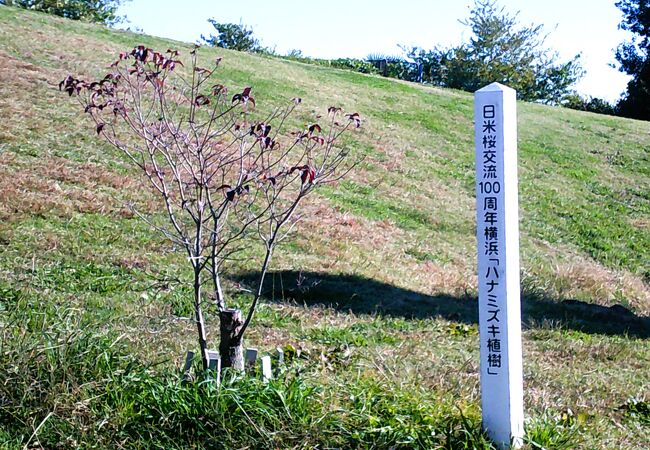 本牧山頂公園