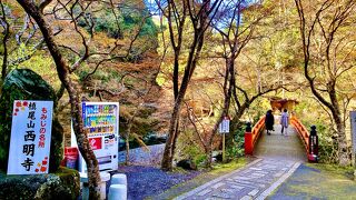 2023.11.22紅葉は見頃でした