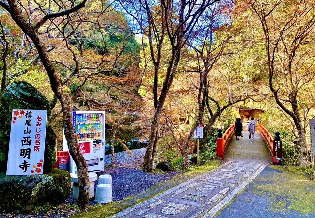 2023.11.22紅葉は見頃でした