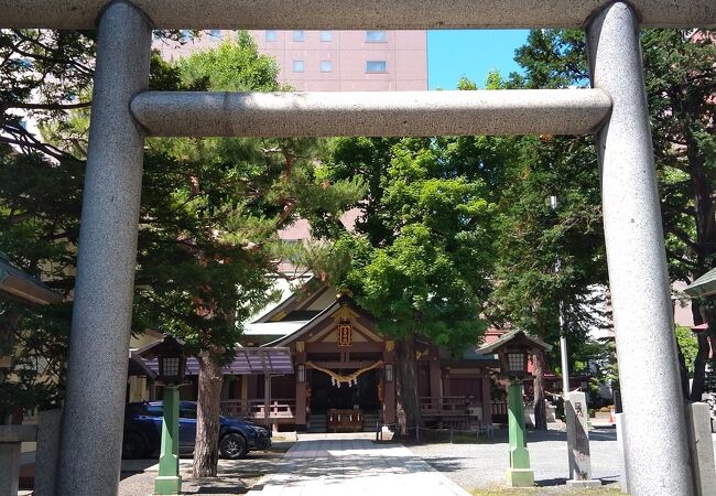 路面電車から参拝もできそうな神社
