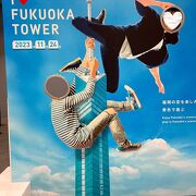 久しぶりに福岡タワーに上ってみました。
