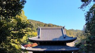 皇室ゆかりの御寺泉涌寺