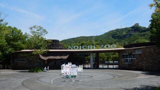 四国でハシビロコウを見ることができる唯一の場所