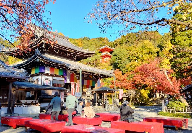 紅葉が見事な今熊野観音寺