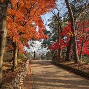 秋は紅葉のトンネルでした。