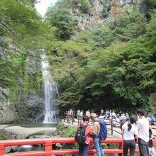 滝見橋からの眺望