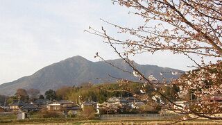 パラグライダーを楽しんでいました。