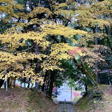 山門から眺める石段